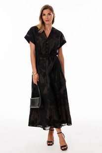 ������ EOLA 3141 ������