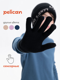 02.10 Pelican �������� �������