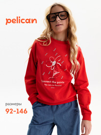 02.10 Pelican ��������� ��� �������