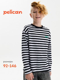 02.10 Pelican ������� ��� ���������