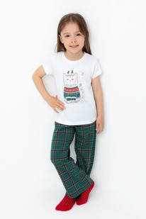 24.10 Crockid ������ ��� � 1640/����� �����,����������� ������