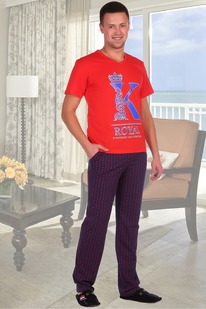 ������ ���������