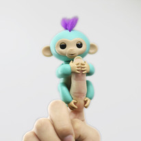 ������������� ���������