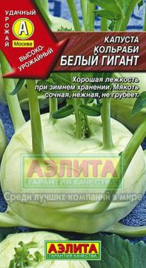 ����� ������ �������� �������