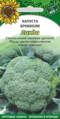 ����� �������� �������