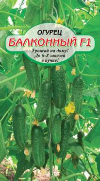 ��������� F1 ������  ����