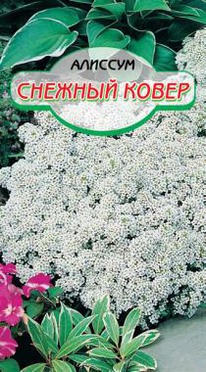 ������� ����� �������