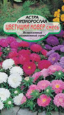 �������� ����� ����������� �����