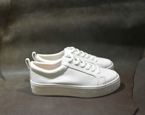 ���� ���������, �������� ��������, ����� ��� �������