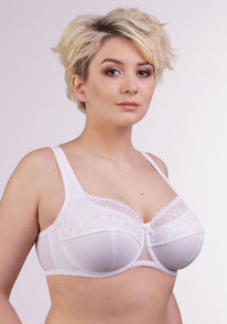 2173 �����������