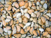 ���� ������ ���� 200/300 1��