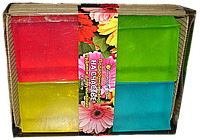 ����� �������� ( ���� ) 