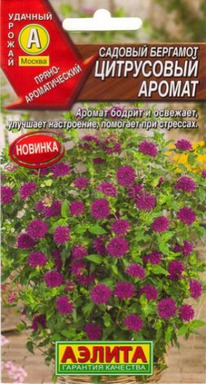 �������� ���������� ������ �������