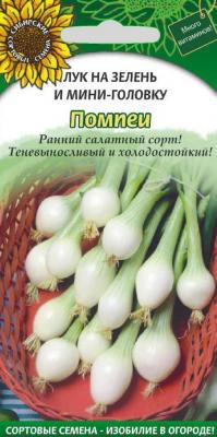 ������ ��� �� ������ � ���� �������