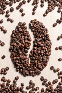 ���� ����� 