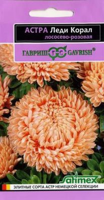 ���� ����� ��������-������� �����