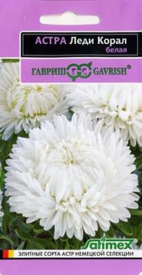 ���� ����� ����� ����� ���������� ����� ���������